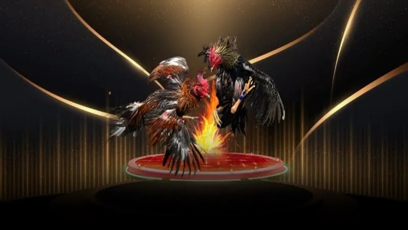 Đá gà cựa sắt Đá gà cựa sắt